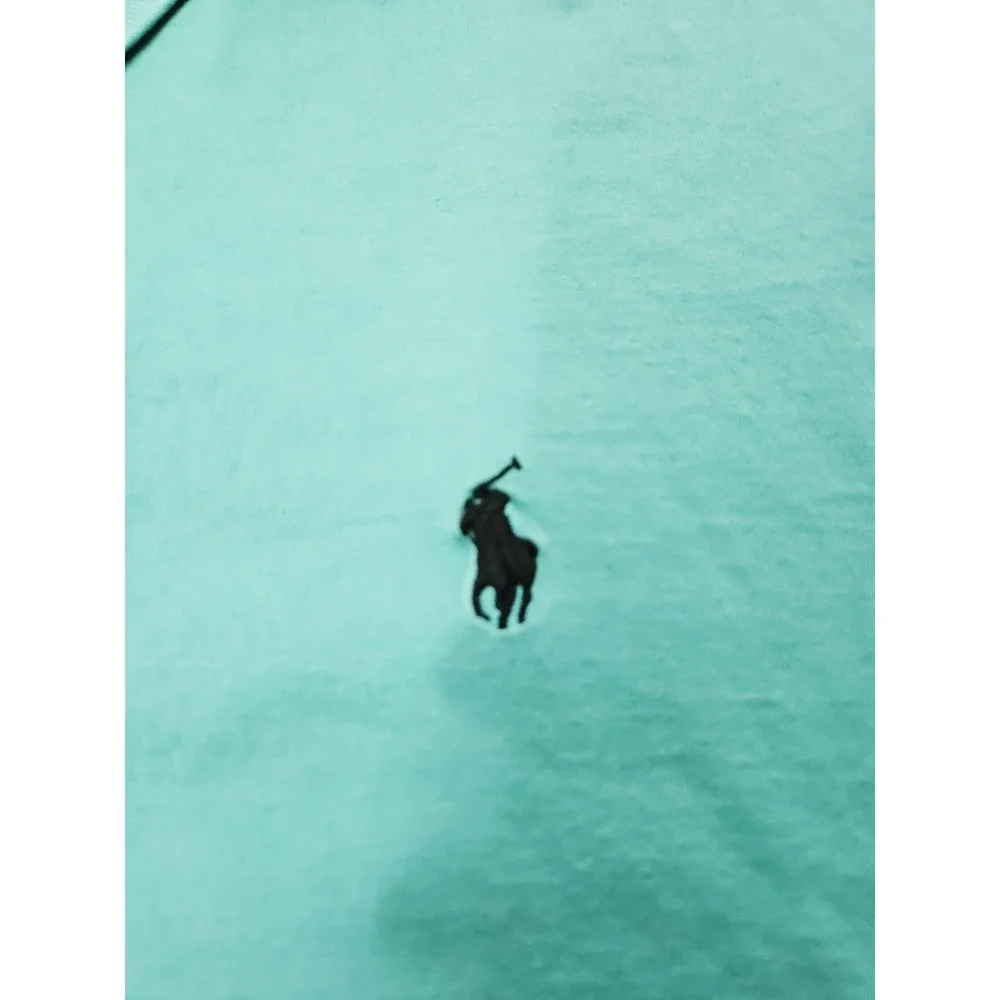 Ralph Lauren this polo